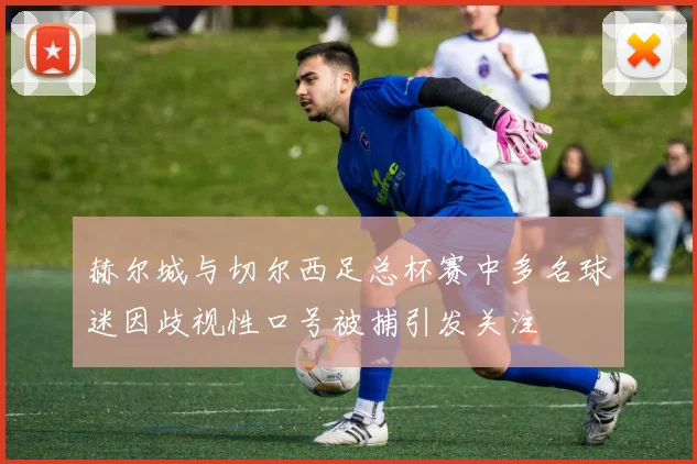 赫尔城与切尔西足总杯赛中多名球迷因歧视性口号被捕引发关注